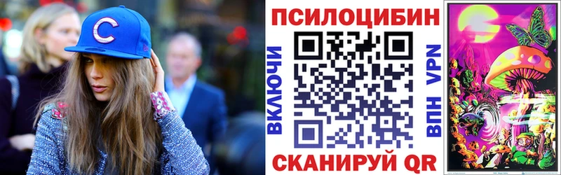 Купить где  Десногорск  Галлюциногенные грибы мицелий 